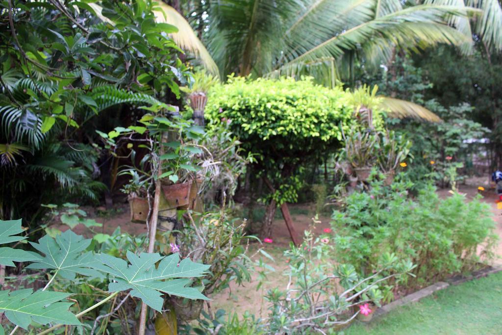 Anura Home Stay Καλουτάρα Εξωτερικό φωτογραφία